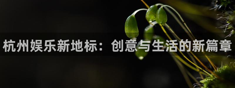 伟德国际1946体育3：杭州娱乐新地标：创意与生活的新篇章
