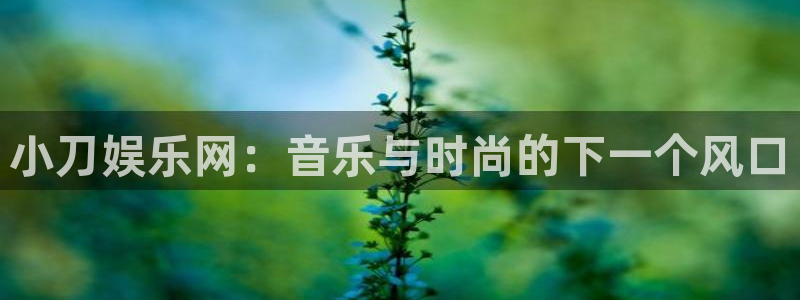 伟德国际1946体育注册代理：小刀娱乐网：音乐与时尚的下一个风口