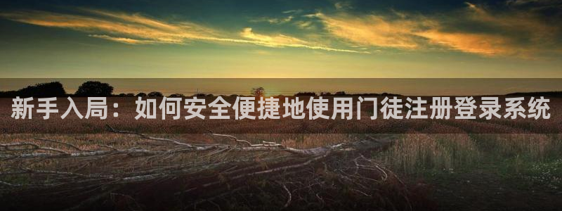 伟德国际1946代理注册官网入口：新手入局：如何安全便捷地使用门徒注册登录系统