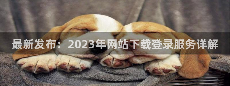 伟德国际1946登录：最新发布：2023年网站下载登录服务详解