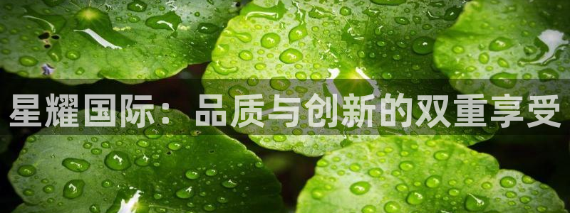 伟德国际19465：星耀国际：品质与创新的双重享受