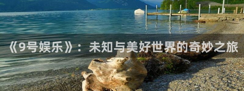 伟德国际1946体育娱乐注册链接：《9号娱乐》：未知与美好世界的奇妙之旅
