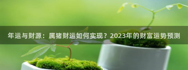 伟德国际19463登录：年运与财源：属猪财运如何实现？2023年的财富运势预测