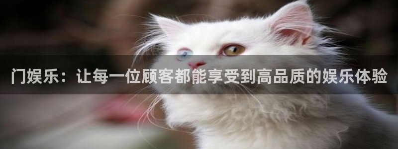 伟德国际19462体育登录入口：门娱乐：让每一位顾客都能享受到高品质的娱乐体验