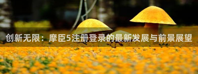 伟德国际19463官网登录：创新无限：摩臣5注册登录的最新发展与前景展望
