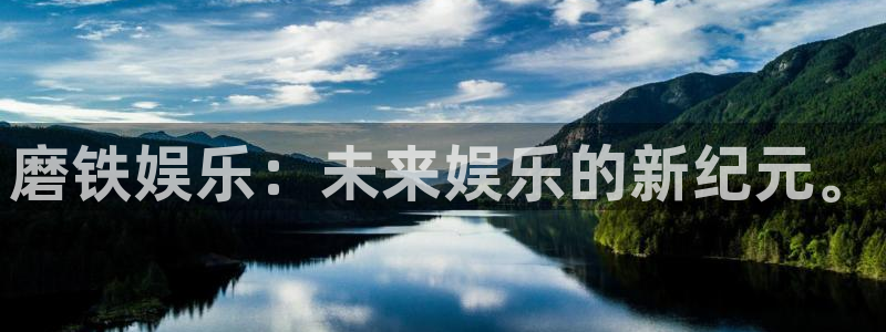 佛山市南海伟德国际1946机电仪器有限公司：磨铁娱乐：未来娱乐的新纪元。