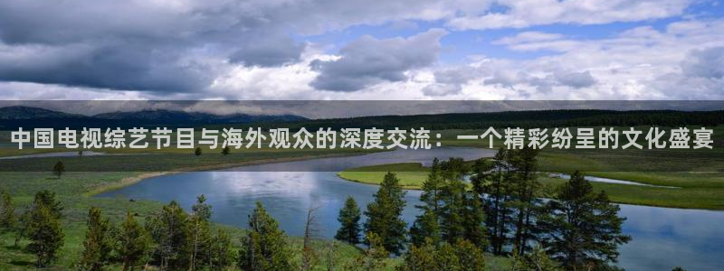 伟德国际19462登录：中国电视综艺节目与海外观众的深度交流：一个精彩纷呈的文化