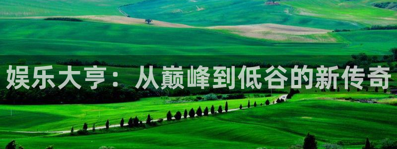 佛山市南海伟德国际1946机电仪器有限公司：娱乐大亨：从巅峰到低谷的新传奇