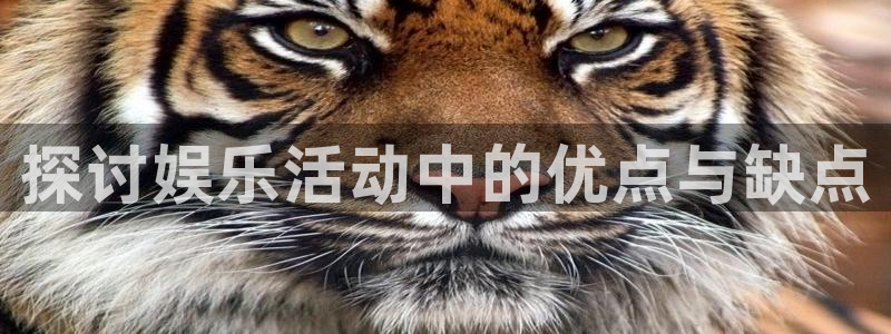 伟德国际1946体育老板是谁：探讨娱乐活动中的优点与缺点