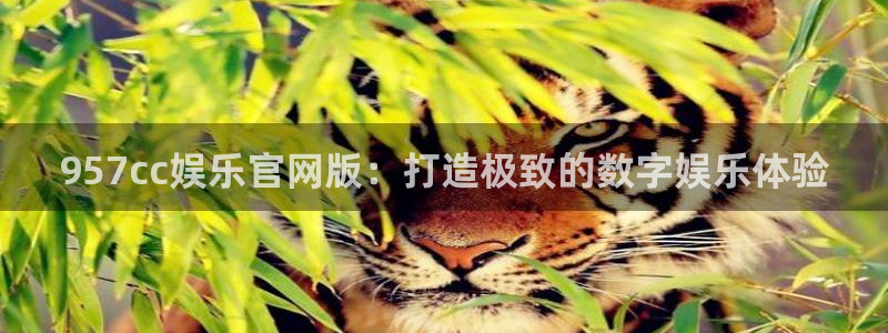 伟德国际1946体育app下载：957cc娱乐官网版：打造极致的数字娱乐体验