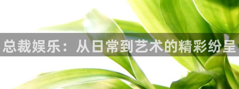 上海伟德国际1946汽车电子有限公司：总裁娱乐：从日常到艺术的精彩纷呈