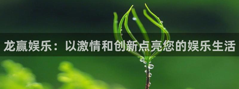 伟德国际1946体育注册登录入口：龙赢娱乐：以激情和创新点亮您的娱乐生活