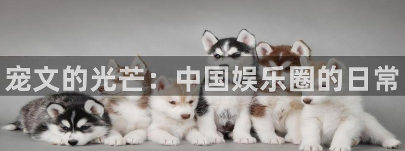 伟德国际1946能源：宠文的光芒：中国娱乐圈的日常