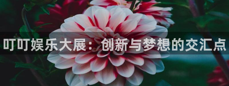 伟德国际19463注册：叮叮娱乐大展：创新与梦想的交汇点