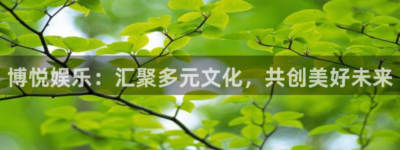 伟德国际1946凯捷开号链接：博悦娱乐：汇聚多元文化，共创美好未来