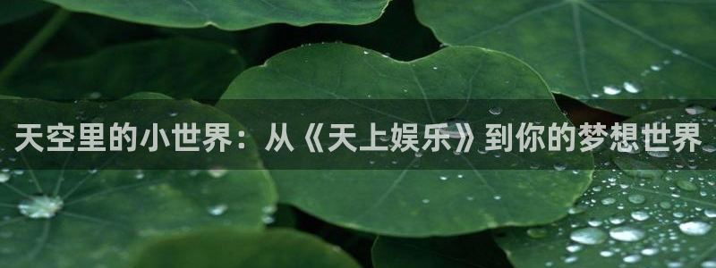 伟德国际1946官网：天空里的小世界：从《天上娱乐》到你的梦想世界