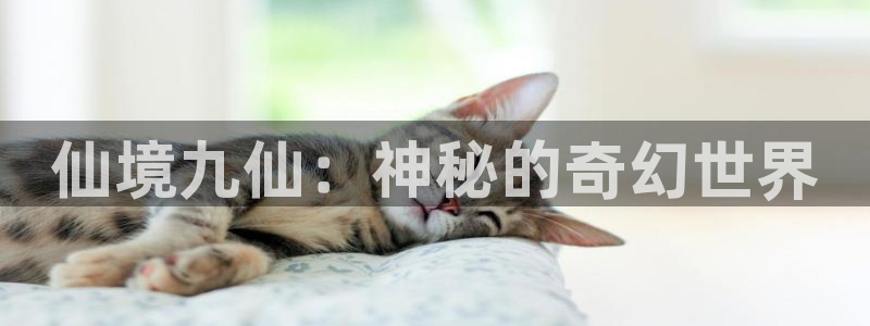 伟德国际1946平台开户链接：仙境九仙：神秘的奇幻世界