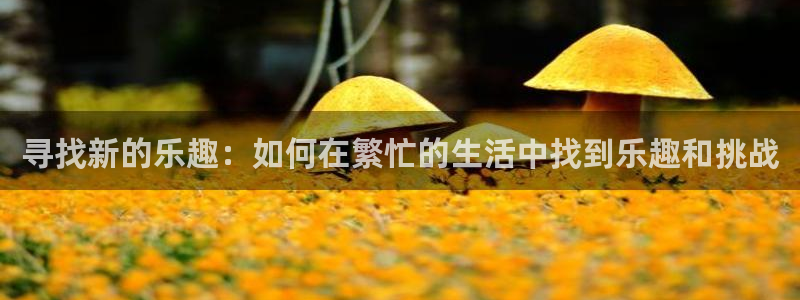 伟德国际1946体育2官网入口：寻找新的乐趣：如何在繁忙的生活中找到乐趣和挑战