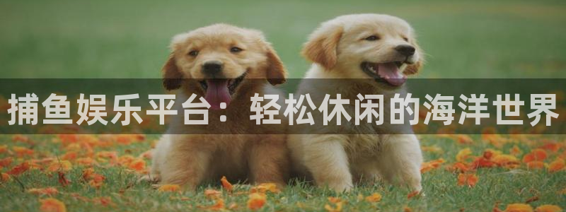 伟德国际1946体育eon：捕鱼娱乐平台：轻松休闲的海洋世界