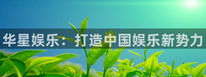 伟德国际1946现在优惠多少：华星娱乐：打造中国娱乐新势力