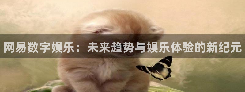 伟德国际1946现在优惠多少：网易数字娱乐：未来趋势与娱乐体验的新纪元